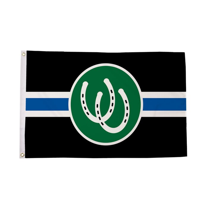 Pony Pride Flag