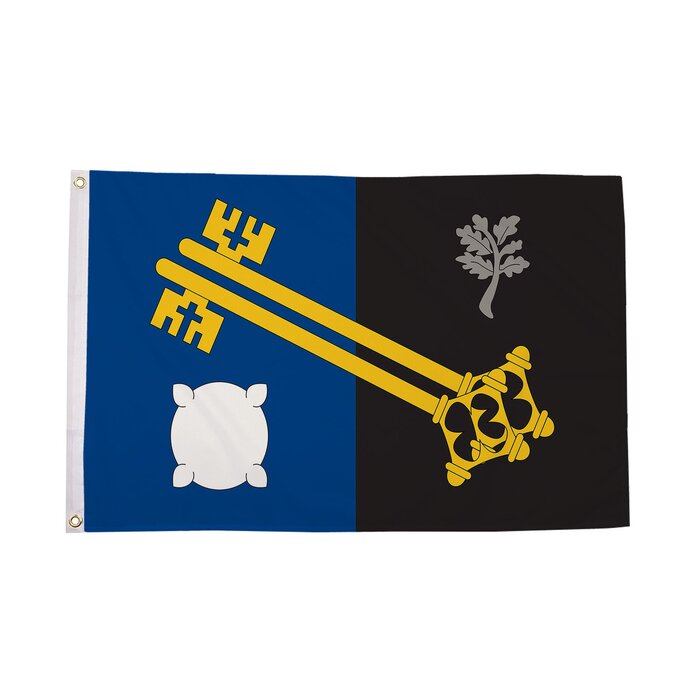 Surrey Old Flag