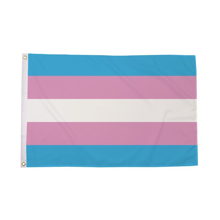 Transgender (New) Flag