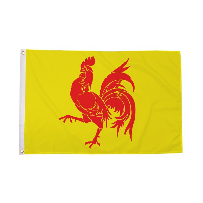 Walloon Flag