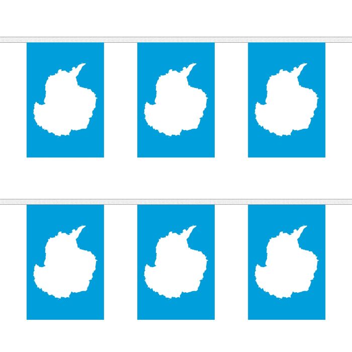 Antarctica Bunting