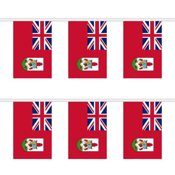Bermuda Bunting
