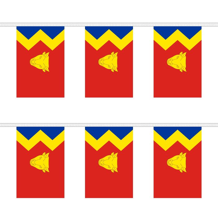 Birmingham Bunting