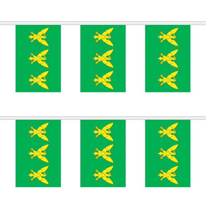 Caernarfonshire Bunting