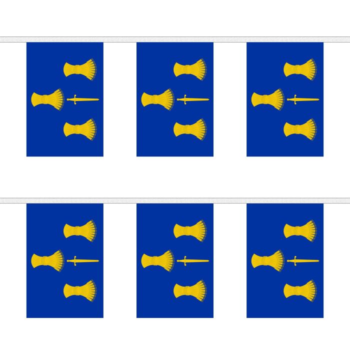 Cheshire Bunting