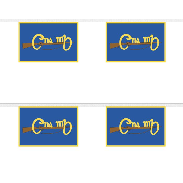 Cumann na mBan Horizontal Bunting