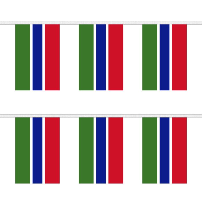 Gambia Bunting