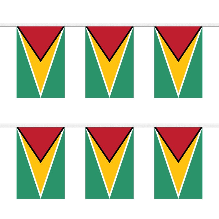 Guyana Bunting