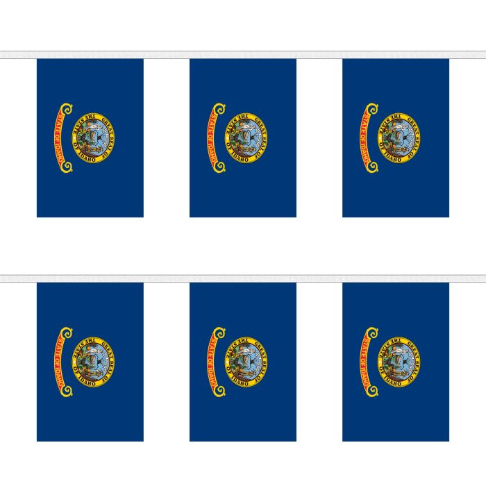 Idaho Bunting