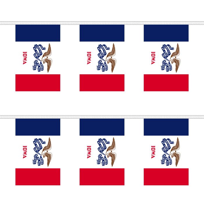 Iowa Bunting