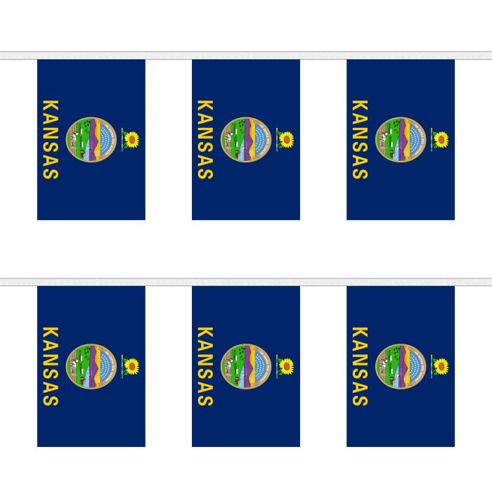 Kansas Bunting