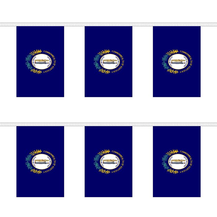 Kentucky Bunting