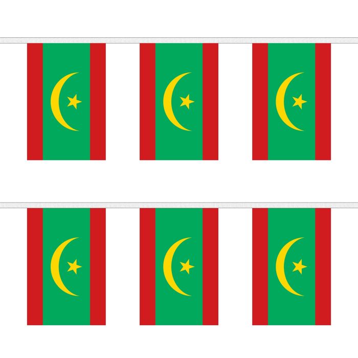 Mauritania New Bunting