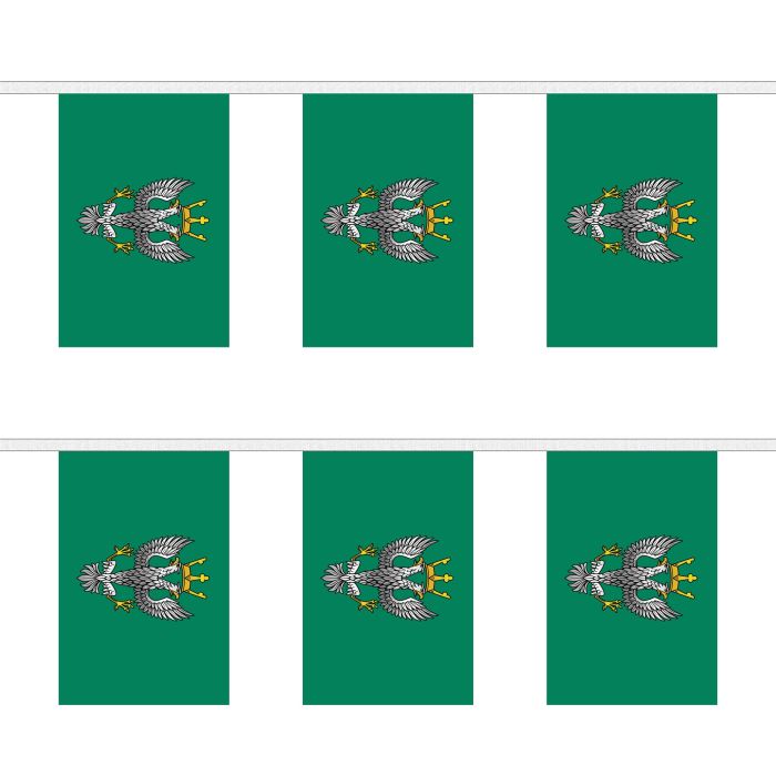 Mercian Regiment Bunting