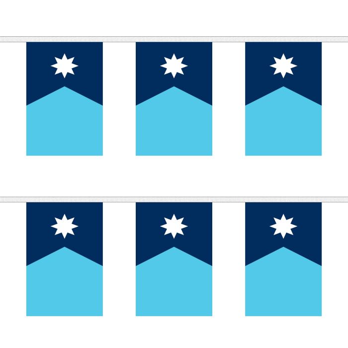 Minnesota Bunting