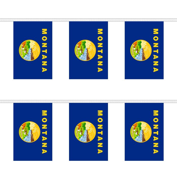 Montana Bunting