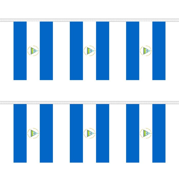 Nicaragua Bunting