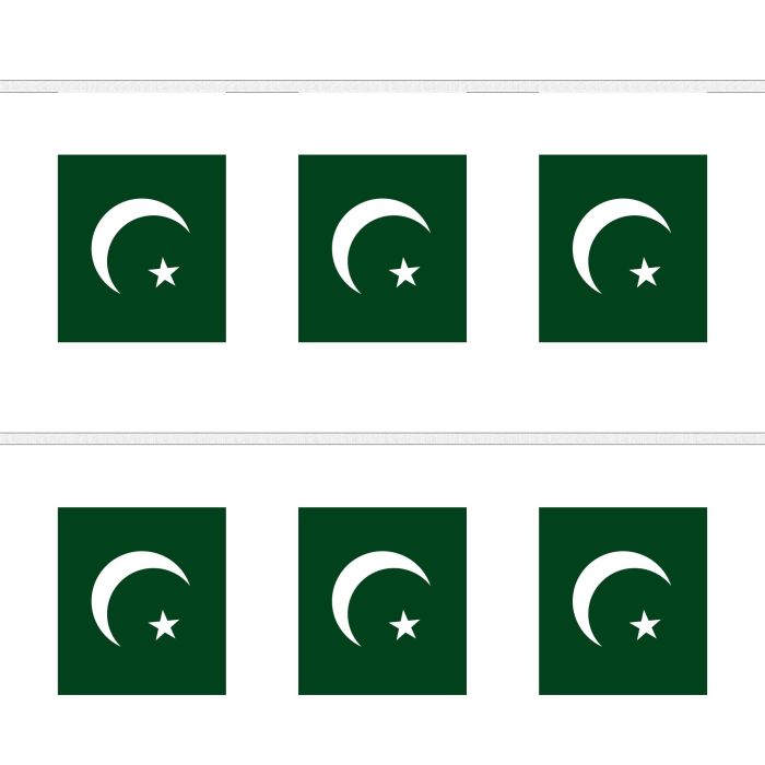 Pakistan Bunting