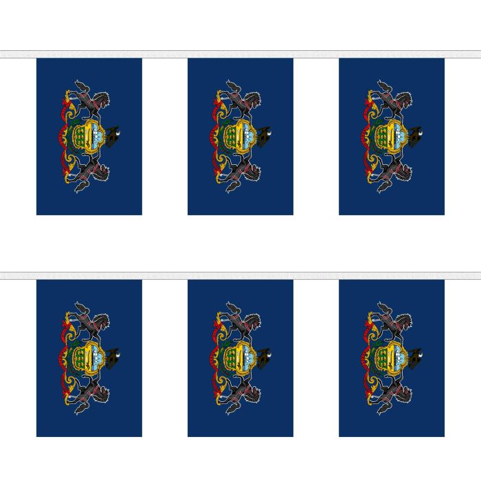Pennsylvania Bunting