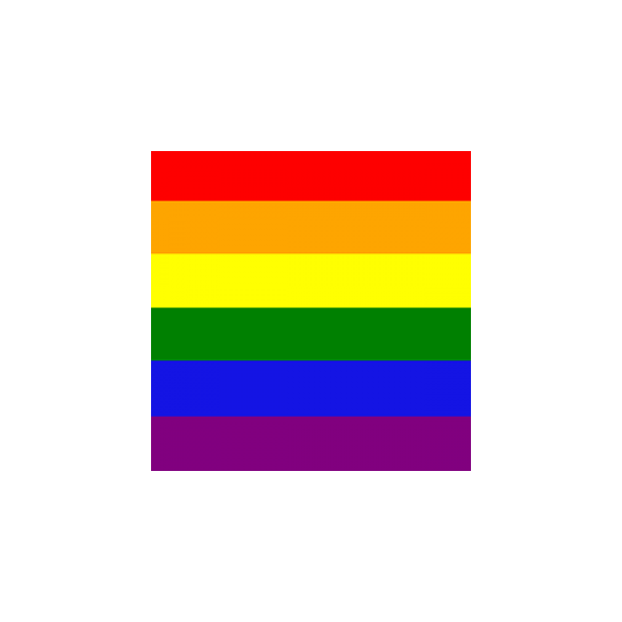 Rainbow Bandana