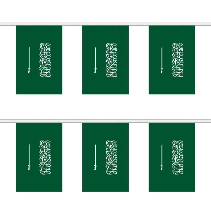 Saudi Arabia Bunting