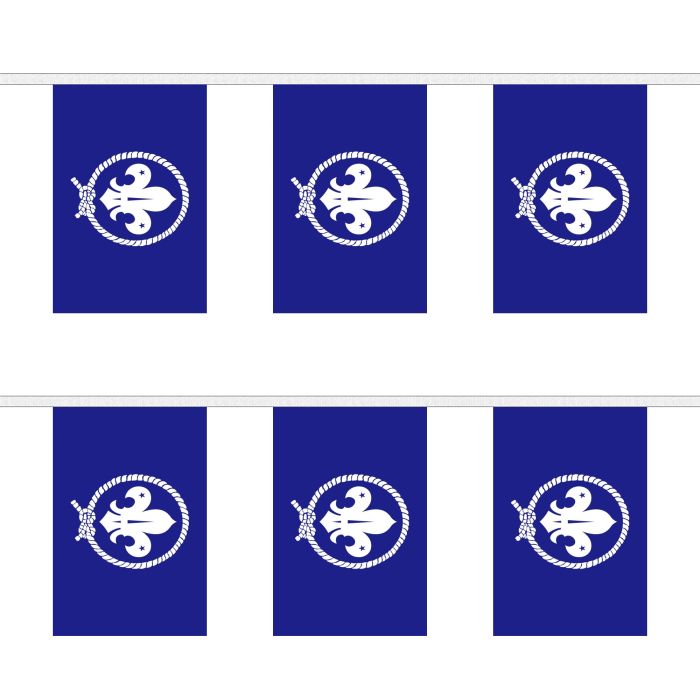 Scouts Blue Bunting