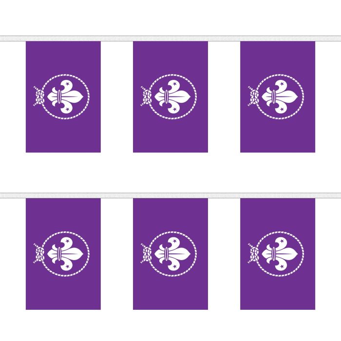 Scouts Purple Bunting