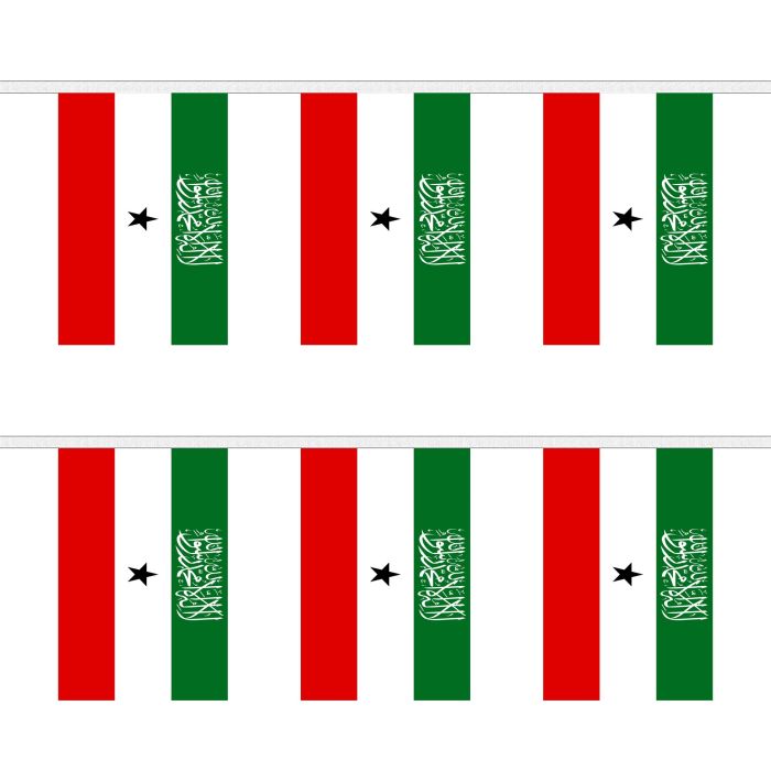 Somaliland Bunting