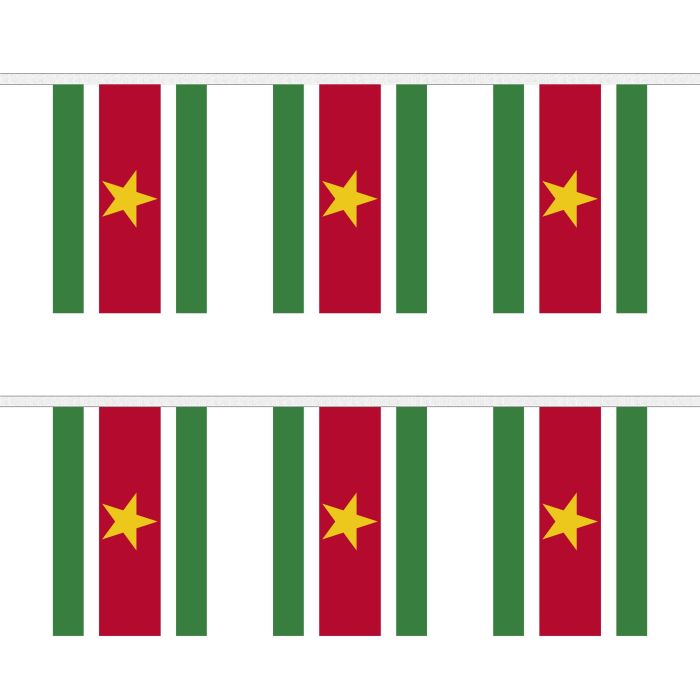 Suriname Bunting