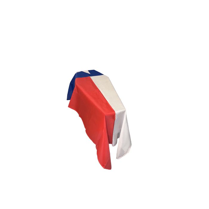 Texas Coffin Drape Flag