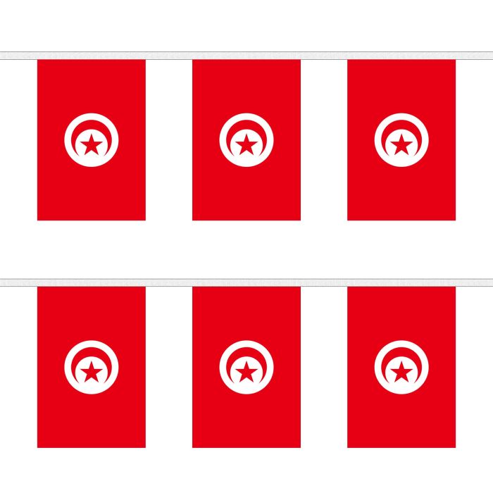 Tunisia Bunting