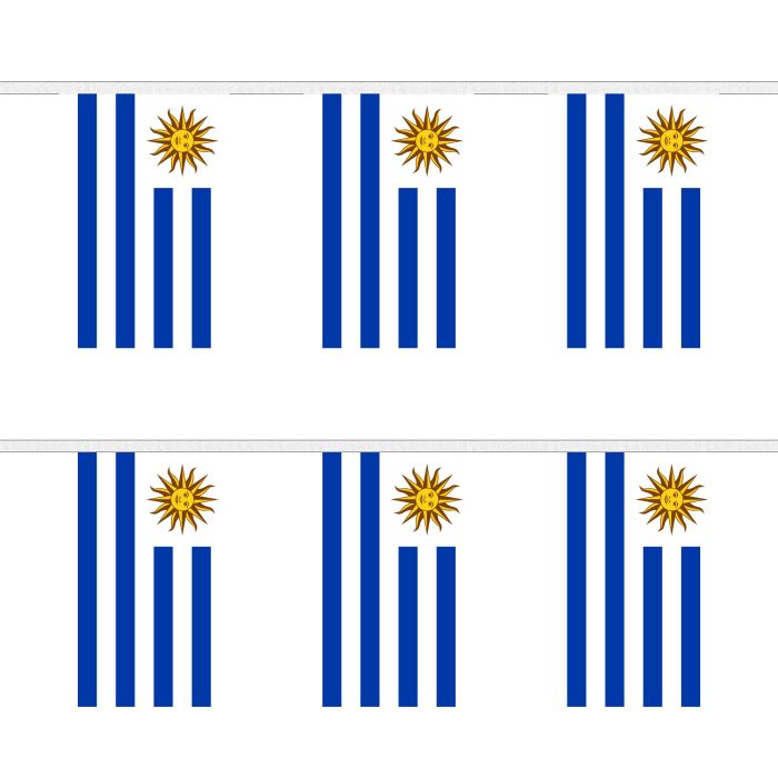 Uruguay Bunting
