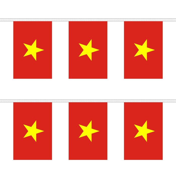 Vietnam New Bunting