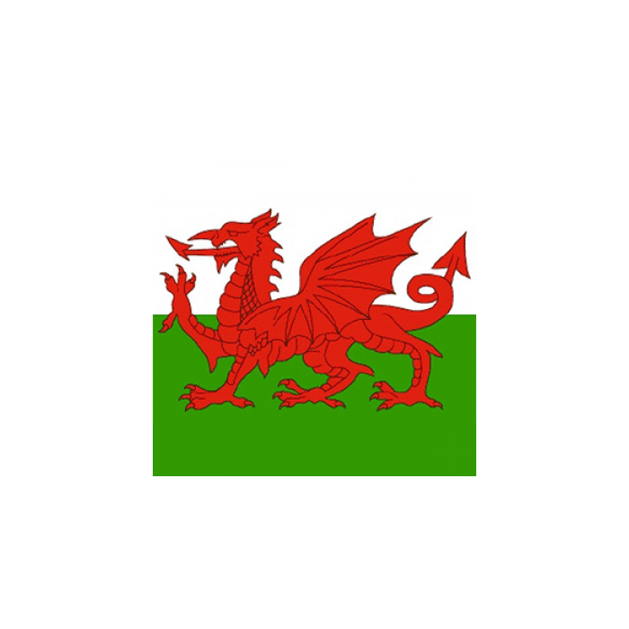 Wales Bandana