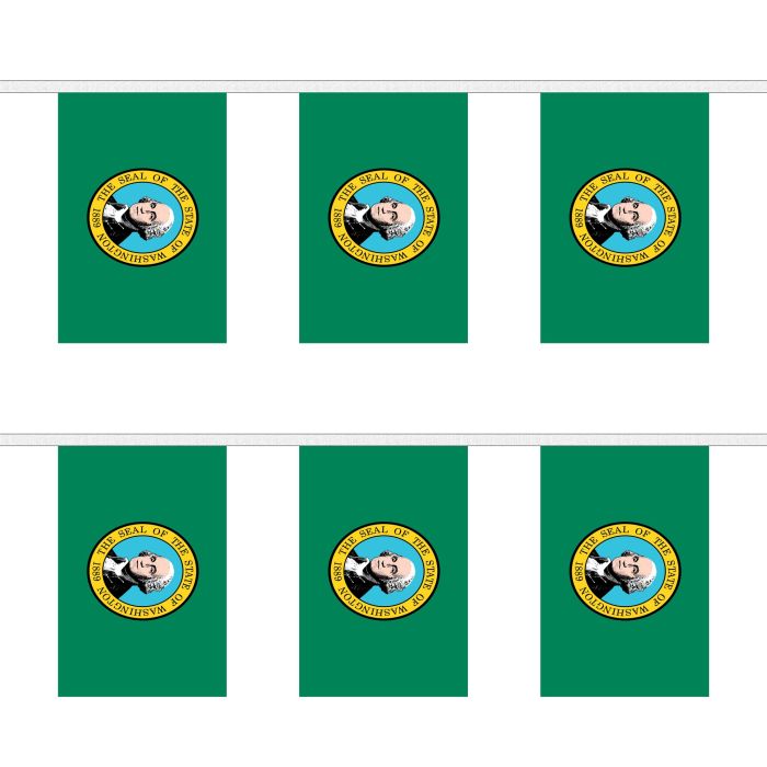 Washington Bunting