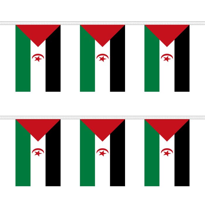 Western Sahara Bunting