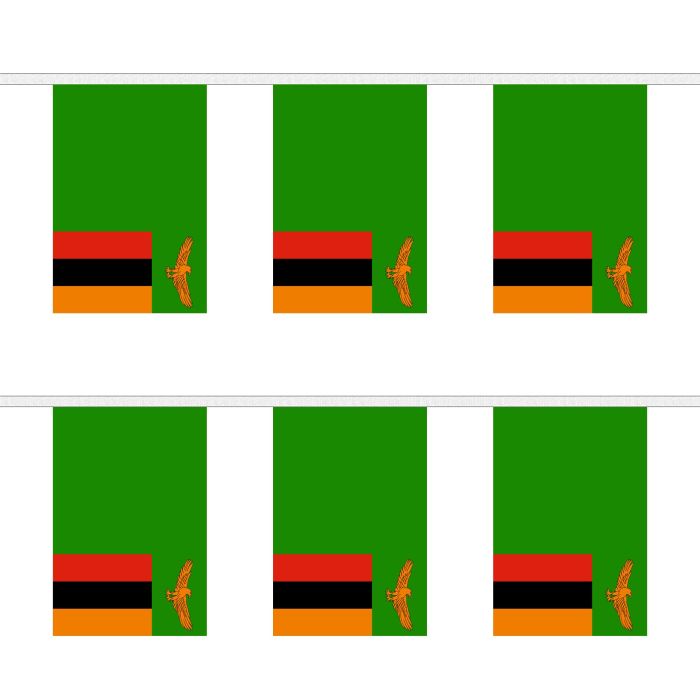 Zambia Bunting