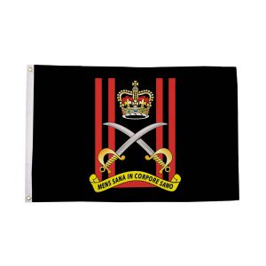 Army Physical Training Corps Flag