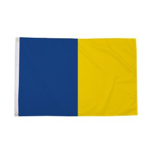 Blue and Gold Irish County Flag