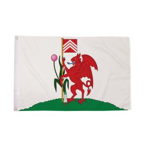 Cardiff Flag