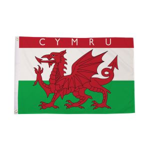 Cymru Flag (Sleeved)