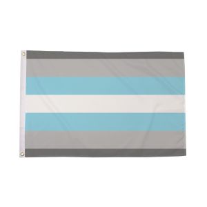 Demiboy Flag