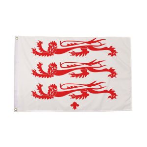 Dorset Old (Lions) Flag