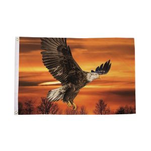 Eagle Sunset Flag