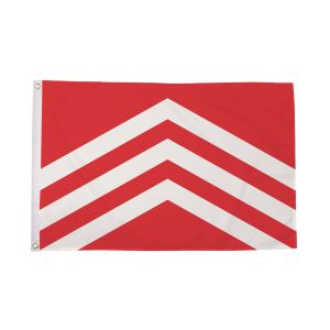 Glamorgan Flag