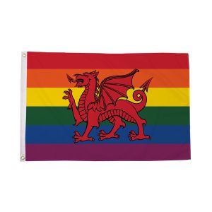 Rainbow Welsh Dragon Flag