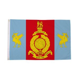 Royal Marines Reserve Merseyside Flag