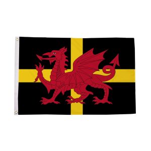 St Davids Dragon Flag