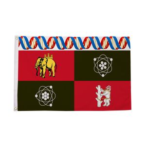 University of Warwick Flag