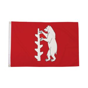 Warwickshire New Flag